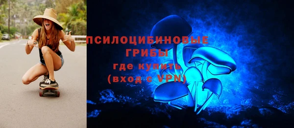 эйфоретик Алзамай