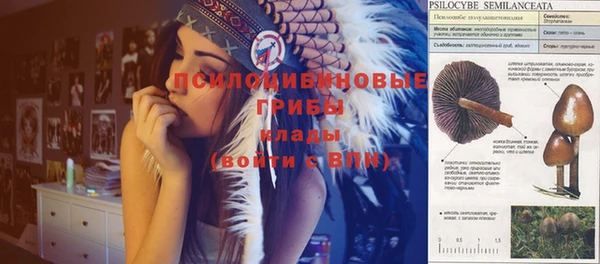 эйфоретик Алзамай