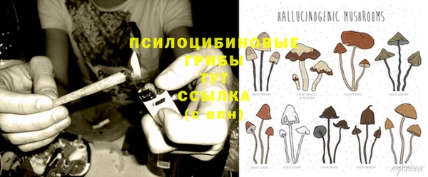 эйфоретик Алзамай