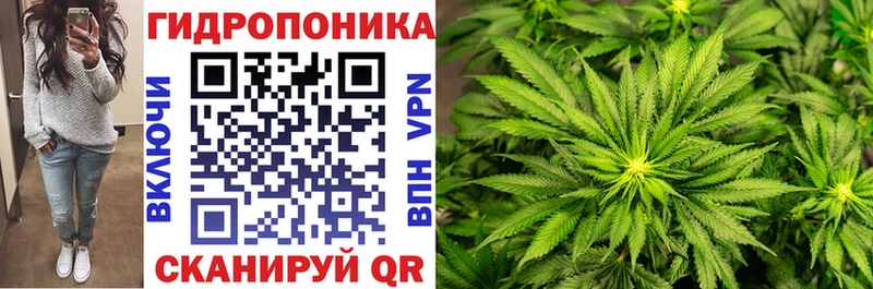 Марихуана план  как найти закладки  Камышин 